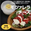 画像2: 選べるチーズセット100g×6個 (2)