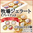 画像1: 牧場ジェラート『プレミアム』120ml×12個 (1)