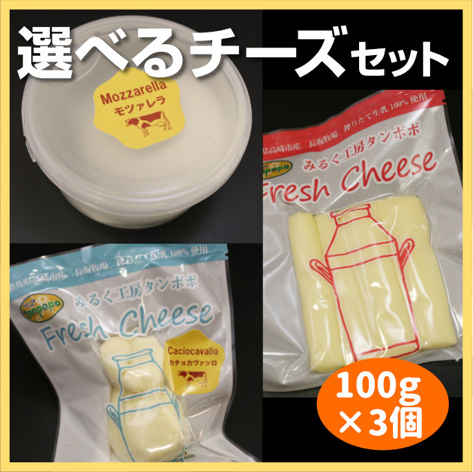 選べるチーズセット100g×3個／牧場チーズ 【みるく工房タンポポ】