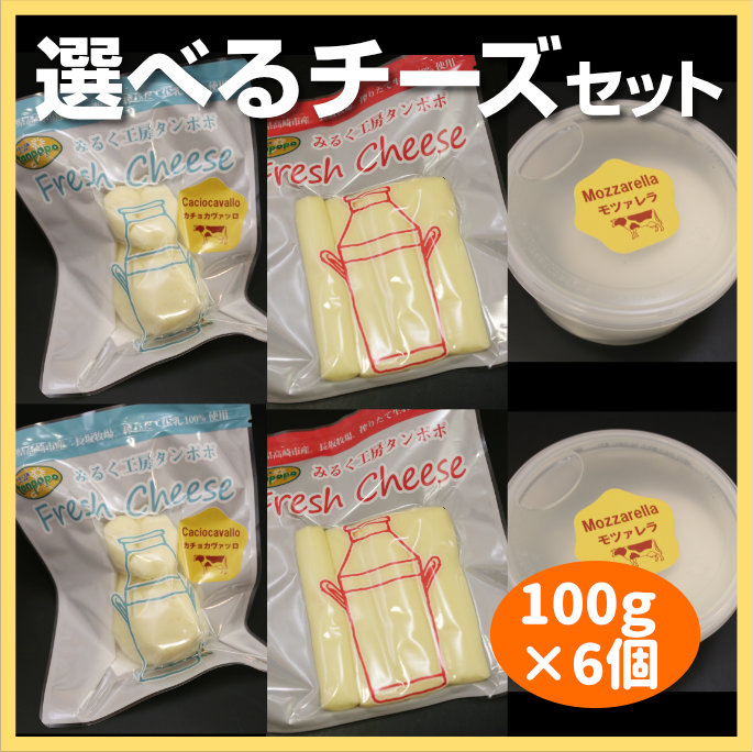 選べるチーズセット100g×6個